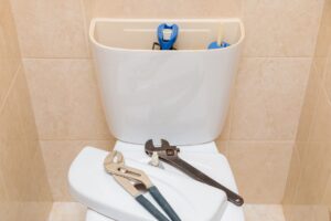 Toilet repair or replace?